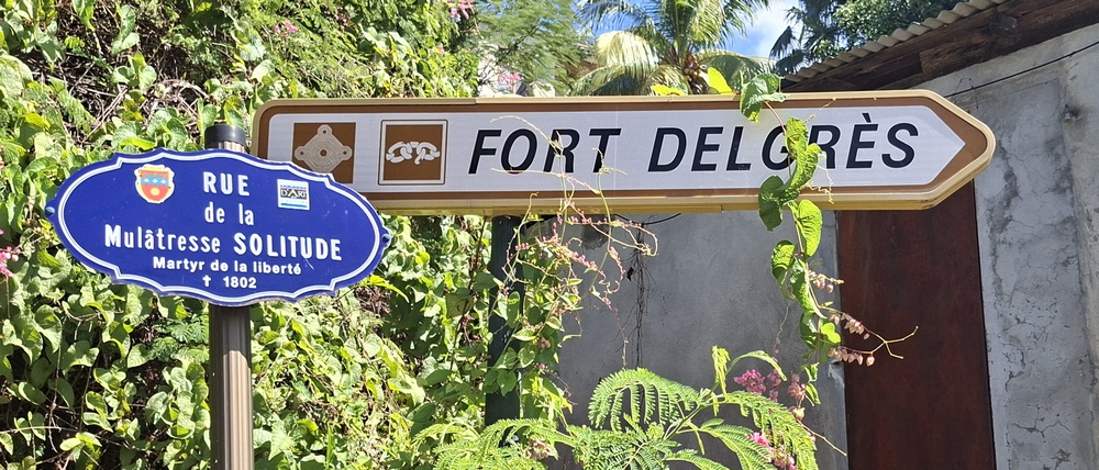 2026-01-28 Basse-Terre_Guadeloupe 20260128_122446_ji.jpg